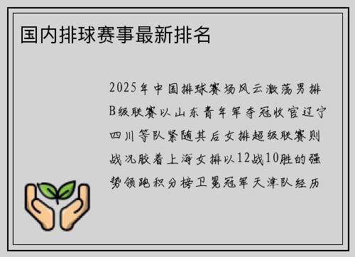 国内排球赛事最新排名